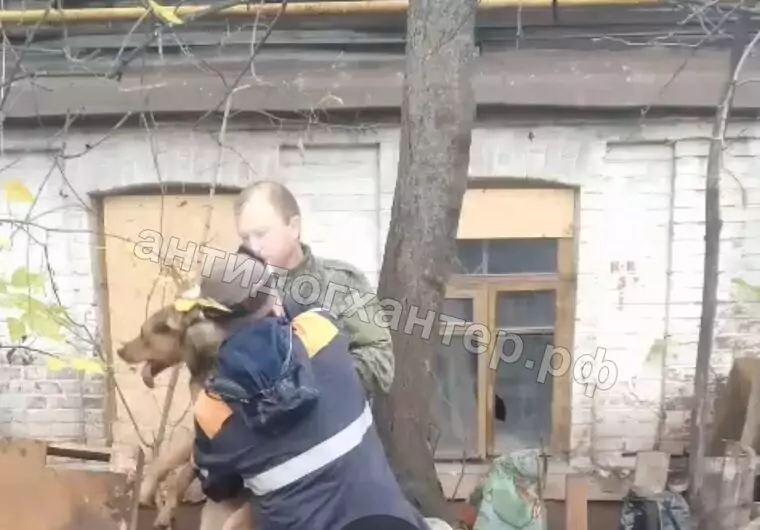 «Дядя Вова», Владимир Шумилин вновь в центре внимания собачьей темы. видео