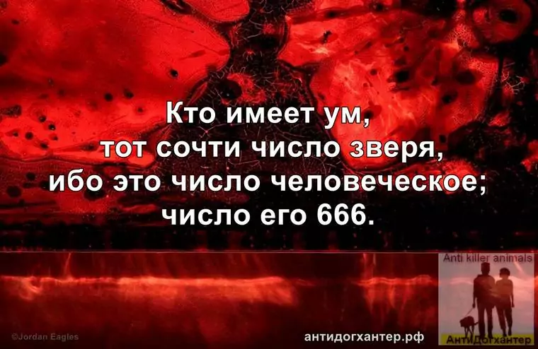 «Животные и наши права под угрозой: что скрывает постановление № 666 и почему это касается каждого».