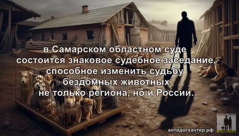 28 ноября 2025 года — судебное заседание, которое может изменить судьбу тысяч животных